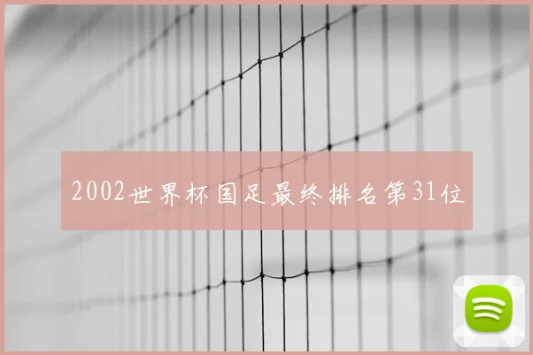 2002世界杯国足最终排名第31位