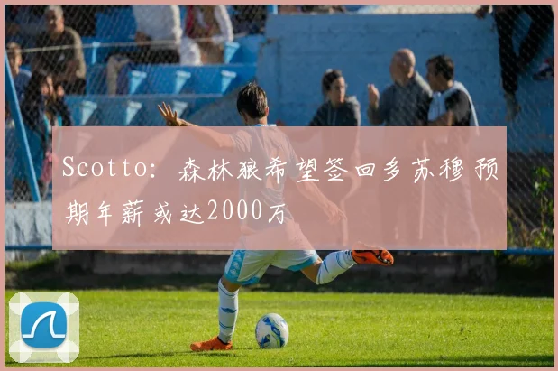 Scotto：森林狼希望签回多苏穆 预期年薪或达2000万
