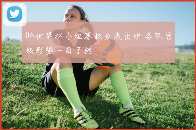 06世界杯小组赛积分表出炉 各队晋级形势一目了然