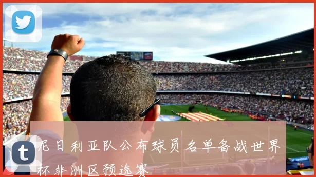 尼日利亚队公布球员名单备战世界杯非洲区预选赛