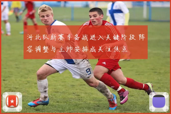 河北队新赛季备战进入关键阶段 阵容调整与主帅安排成关注焦点