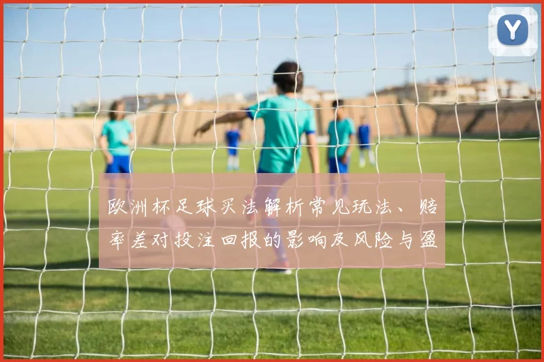 欧洲杯足球买法解析常见玩法、赔率差对投注回报的影响及风险与盈利预期