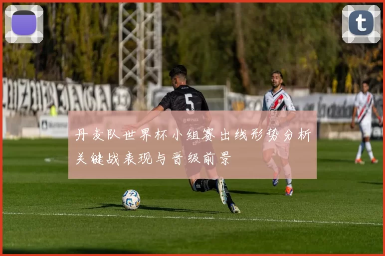 丹麦队世界杯小组赛出线形势分析关键战表现与晋级前景