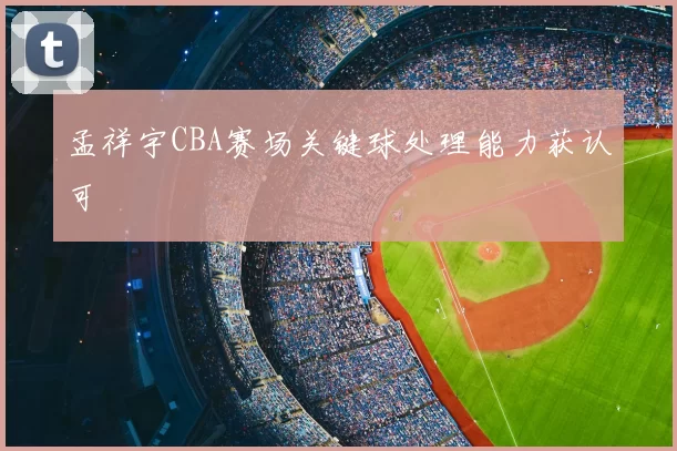 孟祥宇CBA赛场关键球处理能力获认可