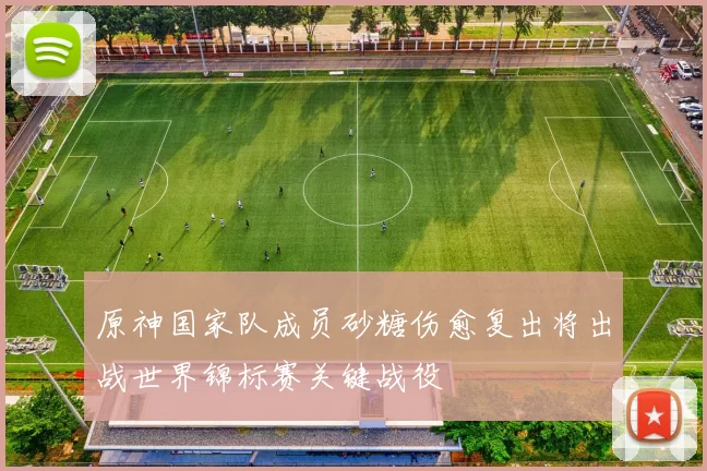 原神国家队成员砂糖伤愈复出将出战世界锦标赛关键战役