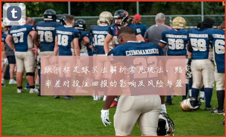 欧洲杯足球买法解析常见玩法、赔率差对投注回报的影响及风险与盈利预期