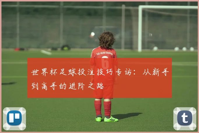 世界杯足球投注技巧专访：从新手到高手的进阶之路