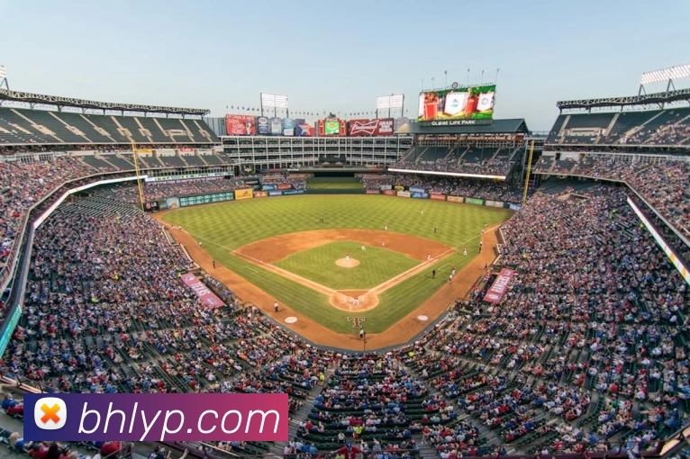 米兰app体育登录入口平台生态图